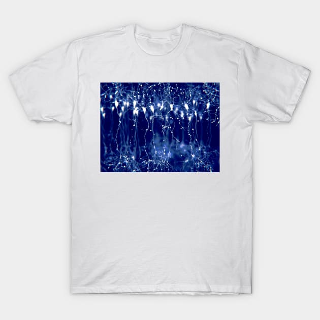 Pyramidal neurons in the cerebral cortex, illustration (F023/0917) T-Shirt by SciencePhoto